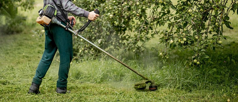 Έρχονται αλλαγές στις ημερομηνίες και τα πρόστιμα με νέα νομοθετική ρύθμιση περί καθαρισμού οικοπέδων